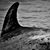 Jennifer Hendershott's profile image