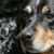 Virginia Dougherty's profile image