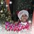 Michelle Fernandez Gomez's profile image