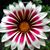 Kathy Roby's profile image