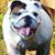 Roger A. Finney's profile image