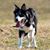 Karen Rabbitt's profile image