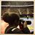 Darla Barnes's profile image