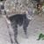 Calene Summers's profile image
