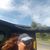 Michelle Sandefur Broward's profile image