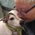Bette Zerba's profile image