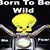 Bill Greenfield's profile image