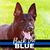 Mary Ingold's profile image