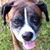 Tina Dirmann-Bergin's profile image