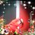 Tracey Polito's profile image