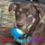 Carol Johnson's profile image