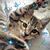 Pamela Watson's profile image