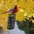 Maria Luisa Westerberg's profile image