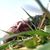 Eddie Martin's profile image