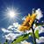 Marlena Rae Smith's profile image