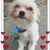 Noreen Leong's profile image