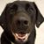 Krysta Lee Posner's profile image