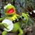 Bill Salter's profile image