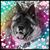 Kerri Walker's profile image