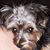 Dorothy Aasen-Delg's profile image