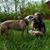 Emma Stell's profile image
