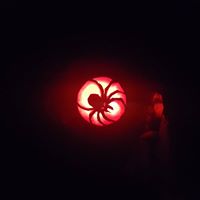 Tara Mcconkey's profile image