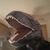 David J Brander's profile image
