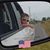 Cynthia Spence's profile image