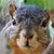 Leo de Leon's profile image