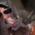 Jason M. Barnes's profile image