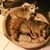 Barbara Ashbaugh's profile image