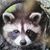 James Wolfe's profile image