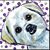Lori Brown's profile image