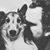 Michael Herring's profile image