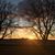 Mary Joerger Ehlers's profile image