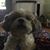 Donna Carden's profile image