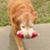 Angie Messina's profile image