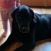 Heather Phillips Zwiers's profile image
