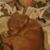 Judi Green's profile image