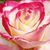 Mary Auzqui's profile image