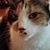 Jennifer Pavone's profile image