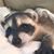 Peggy Neer's profile image