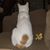 Kim Yates's profile image
