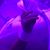 Stephanie Goodrich East's profile image
