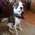 Sharon Blevins Hodgson's profile image