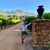 Alena Bartsch's profile image