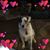 Michelle Annette Vance's profile image