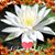 Lori Heid's profile image