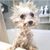 Robert Leggore's profile image