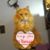 Gail Rempel's profile image